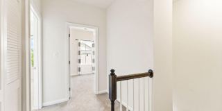 41715 MCMONAGLE Square Gallery 33
