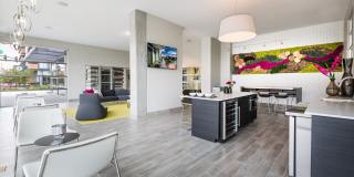 Linear Gallery 10