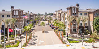 Valentia by Windsor Gallery 5