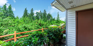 Palermo at Lakeland Gallery 20