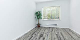 Paloma Vista Apartment Homes Gallery 74