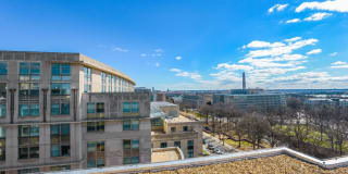 The York and Potomac Park Gallery 25