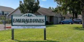 10 Emerald Pines Gallery 1