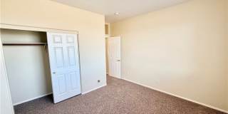 4467 E Dandelion Street Gallery 17