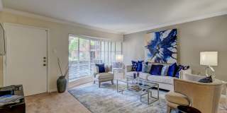 Creole on Yorktown Gallery 2