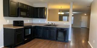 510 Indian Paintbrush Gallery 8