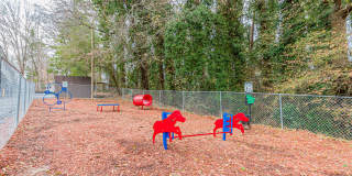 Balfour Chastain Gallery 19