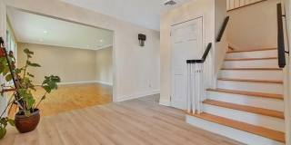 5 Skie Drive Gallery 10
