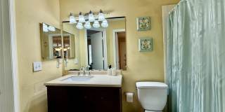 441 FOUNTAINHEAD CIRCLE Gallery 14