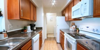 TGM Springbrook Gallery 2