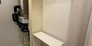 Hogtown Creek 1/1! Gallery 23