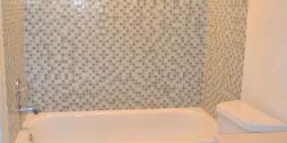 8383 Buttress Ln Gallery 12