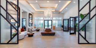 Alta Citron Gallery 12