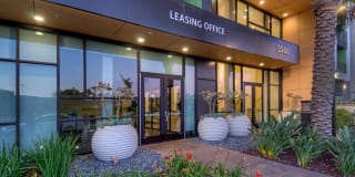 The Lex The Lex Gallery 4