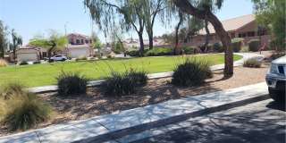 6529 ADONIS HEIGHTS Street Gallery 34