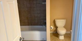 Large 3 Bedroom | 2.5 Bath in The Fan! Gallery 12