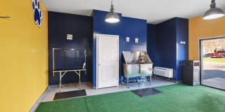 Alvista Bowie Gallery 31