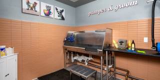 Chroma Apartment Homes Chroma Apartment Homes Gallery 84