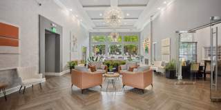 Finley at Fairfax Corner Gallery 1