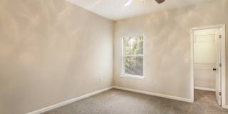 Angel Landing Gallery 11