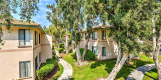 Park Bonita Apartments Gallery 6
