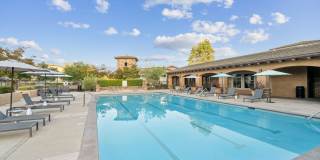 Hollister Village Gallery 2