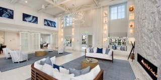 Town Westshore Gallery 8