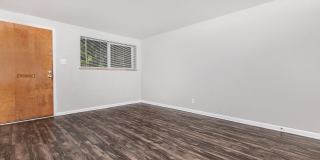 Park Place Gallery 1