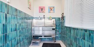 Cape at Savona Gallery 17