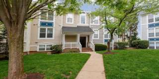 20575 SNOWSHOE Square Gallery 1