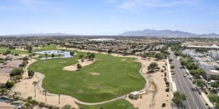 Adiamo Palm Valley Gallery 22