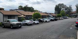 Dove Ridge Gallery 19