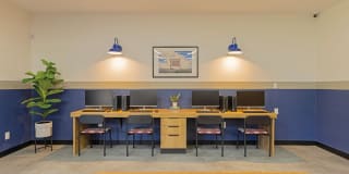 Novi at Lowry Gallery 11