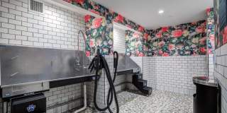 Fitzroy Gallery 37