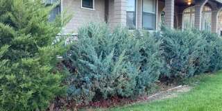 Beautiful Historical Building in Old North End Colorado Springs Gallery 1