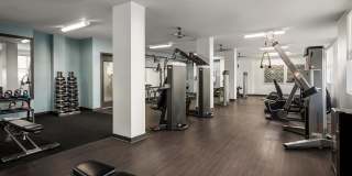 Paraiso at Fountain Square Gallery 41