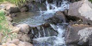 2795 Lake Ridge Shores W Gallery 30