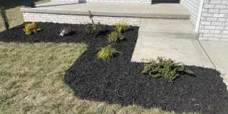 173 Ruth Miller Drive Gallery 3