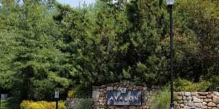 Avalon Acton Gallery 42