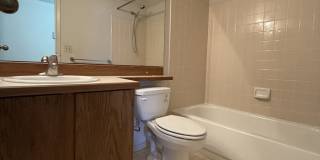 7928 East Colette Circle Gallery 11