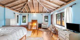 334 Palm Trail Gallery 31