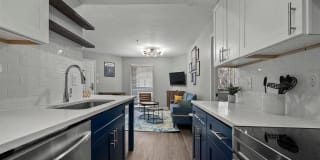 505 Collection Gallery 9