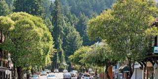 162 Throckmorton Avenue Gallery 46