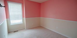 5004 FOREST PINES Drive Gallery 37