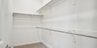 Canvas at Anna Gallery 24