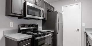 Forest View Gallery 5