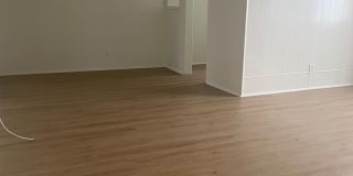 Elm 320 Gallery 3