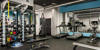 Ion Town Center Gallery 29