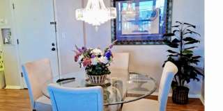 255 Dolphin Point Gallery 31