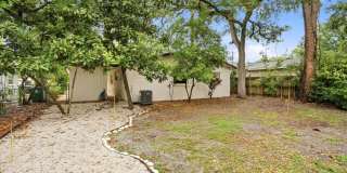 Remodeled 3BR/2BA Temple Terrace Home with Carport Gallery 21